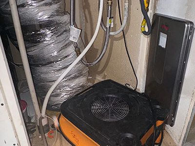 Expert Water Damage Air Mover Drying Solutions