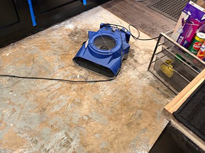 Professional Floor Drying Services