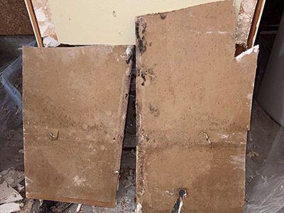Water Damaged Wall Repair Services