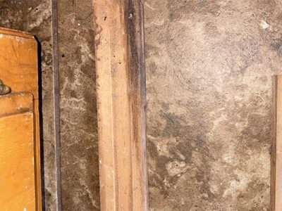 Comprehensive Mold Removal and Restoration Solutions