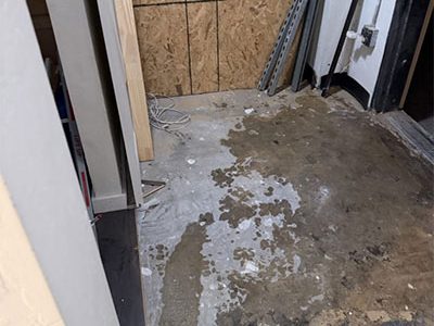 Expert Emergency Water Removal Services