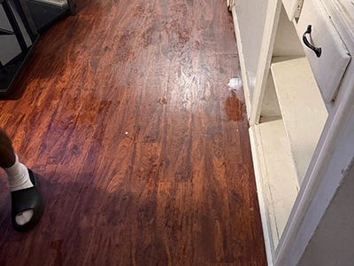 Expert Water Damage Cleanup Restoration Services