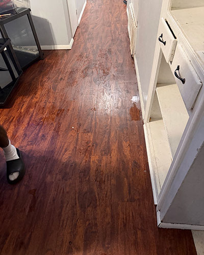 Expert Water Damage Cleanup and Restoration Services Expert Water Damage Cleanup Restoration Services
