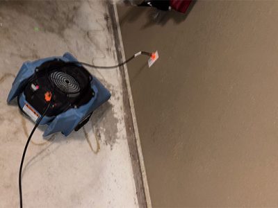 Professional Water Damage Mitigation Services