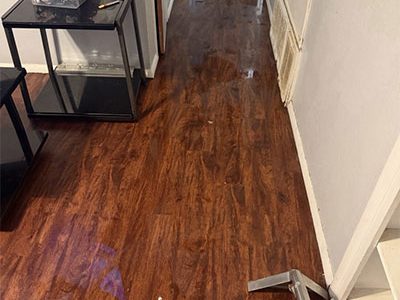 Professional Water Mitigation and Restoration Services