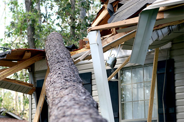 Reliable Storm Damage Restoration Services